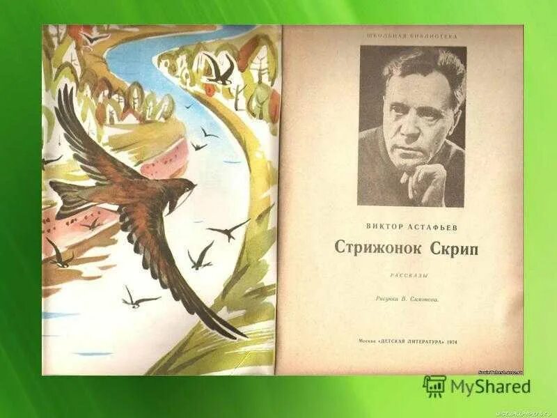 Астафьев стрижонок скрип конспект урока. В П Астафьев Стрижонок скрип.