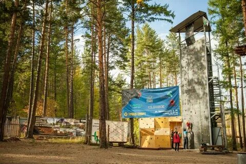 Хамелеон чита