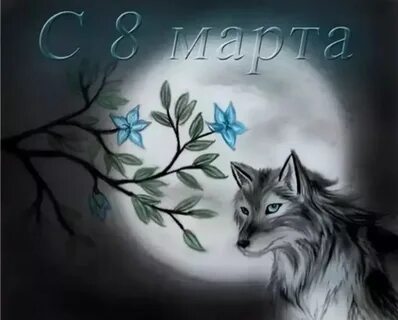 8 лис