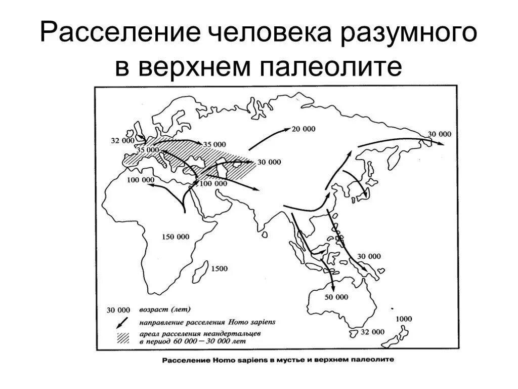 Периоды расселения. Расселение людей в палеолите карта. Карта расселения людей в эпоху палеолита. Карта расселения людей в среднем палеолите. Стоянки позднего палеолита на карте.