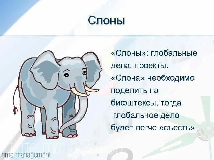 Слона надо есть. Слон тайм менеджмент. Части слона. Слоны в тайм менеджменте это. Слон по частям.