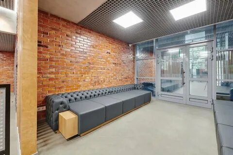 Академия ледяного