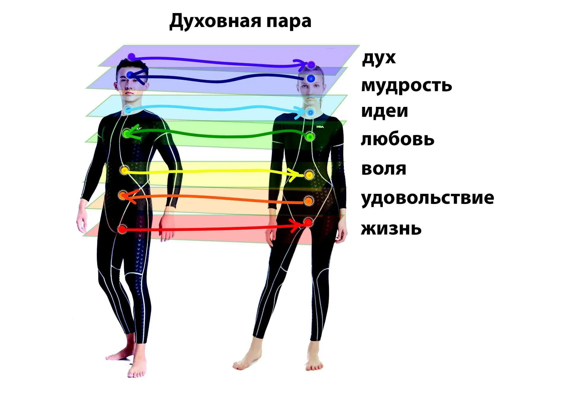 Чакры между мужчиной и женщиной. Чакры мужчины и женщины. Энергообмен между мужчиной и женщиной. Энергетические центры мужчины и женщины.