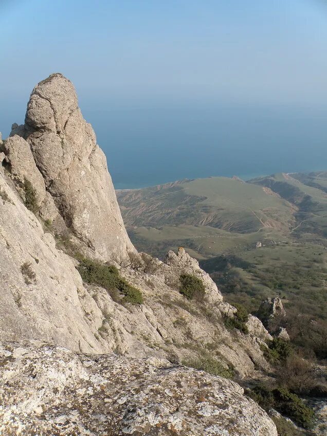 Гора эчки даг крым. Коза гора глаза моря кольцо. Альпийский горный козёл ибекс. Коза гора глаза моря кольцо. Козлы в горах.