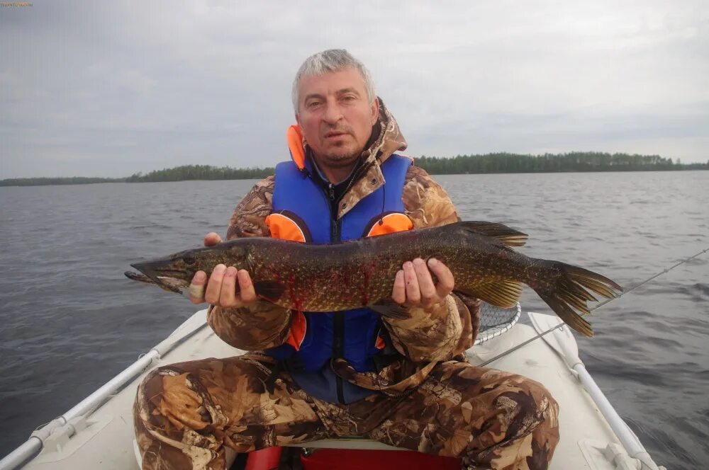 Погода в амбарном лоухский. Амбарный поселок Карелия Лоухский район. Энгозеро Карелия. База отдыха оружейник Энгозеро. Энгозеро Карелия Лоухский район.