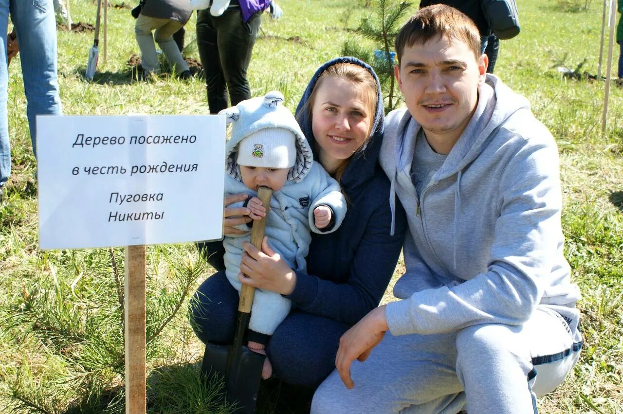 Дерево в честь рождения ребенка. Дерево посаженное в честь ребенка. Высадка дерева в честь рождения ребенка.