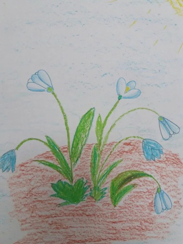 Рисование первоцветы старшая. Рисование с детьми первоцветы. Рисование с детьми подснежники. Рисование первые цветы. Рисование первых весенних цветов.