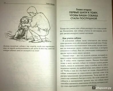 Схема предложения у дяди васи жила собака