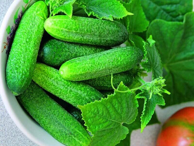 Огурцы Свежие 1кг. * ТарТун (ՏարՏուն)