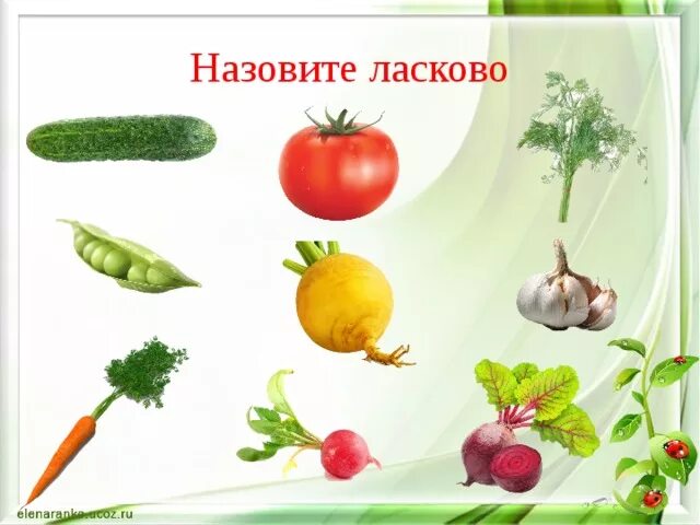 Почему овощи называют овощами. Назови ласково овощи. игра назови ласково. овощи ласково назвать. игра назови ласково в картинках.