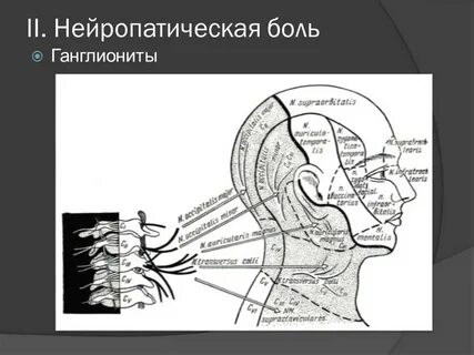 Ганглионит