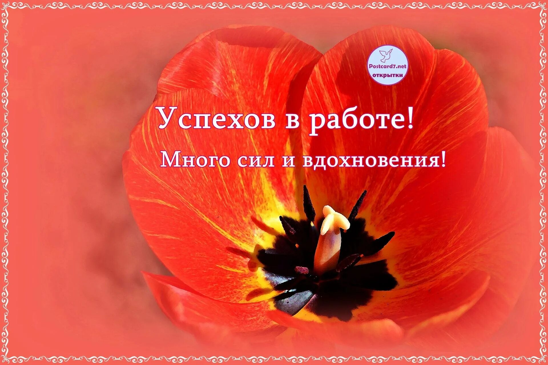 Пусть работа