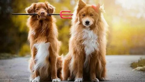 Red friends