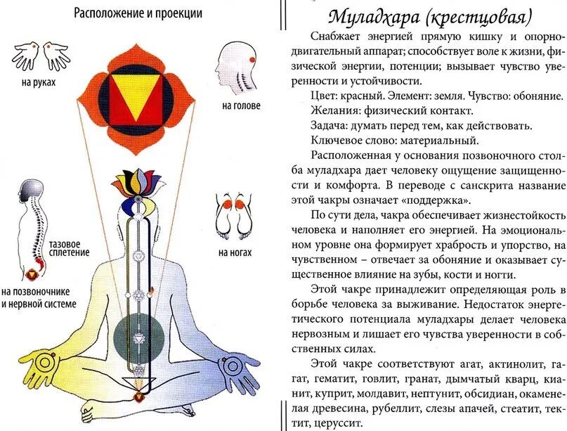 Энергии во время длительных. Корневая чакра Муладхара. Муладхара активация корневой чакры. Строение Муладхары чакры. 1 Чакра корневая.