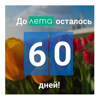 Сколько понедельников в январе