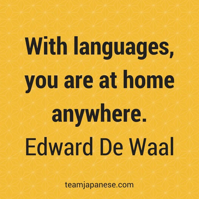 You are at the. Language цитаты. Quotes about English language. Quotes about languages. Learning languages quotes.