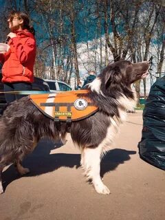 Безумно томск