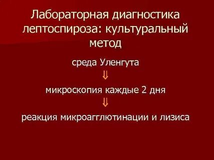 Лептоспироз диагностика