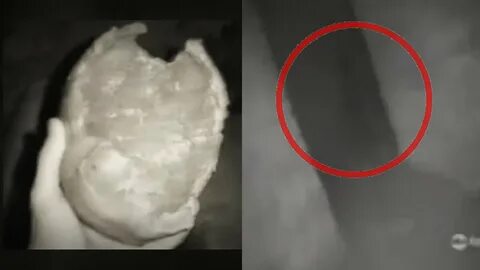 Найденные видеозаписи