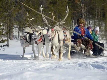 Катание мурманск