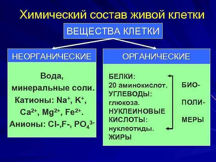 Какие химические соединения образуются. Химический состав клетки. Химические вещества клетки. Химические вещества клетки неорганические. Химический состав клетки органические веше.