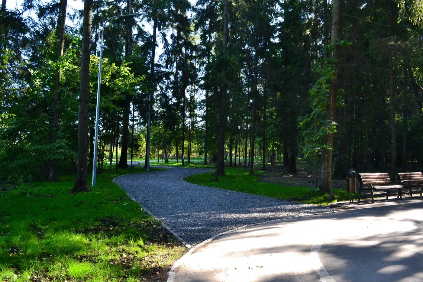 Зеленоград лесопарковая зона. Парк в селятино московская область. Лесопарковая зона свистуха. Название зеленых зон. Лесопарковая зона свистуха.