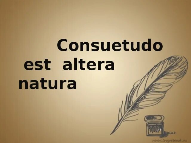 Консуэтудо ЭСТ Альтера натура. Altera перевод. Optima est Legum interpres consuetudo. Consuetudo culinarum. Natura перевод