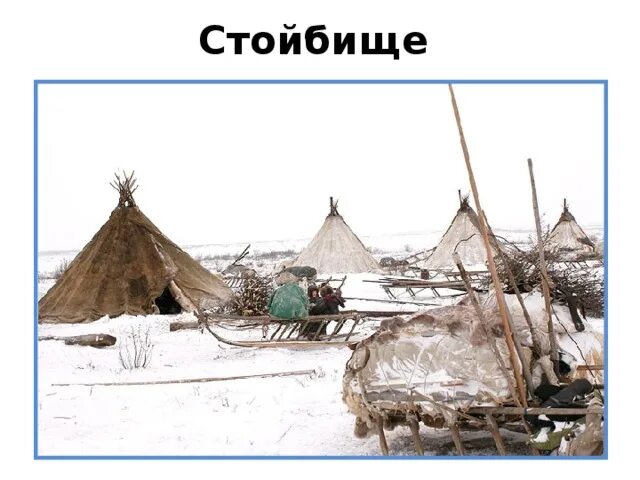 Стойбище синоним. Стойбище синоним. Чум ямал. Чум народов севера. Яранга жилище народов севера.