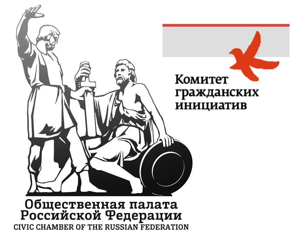 Полезные инициативы общественной палаты. Полезные инициативы общественной палаты