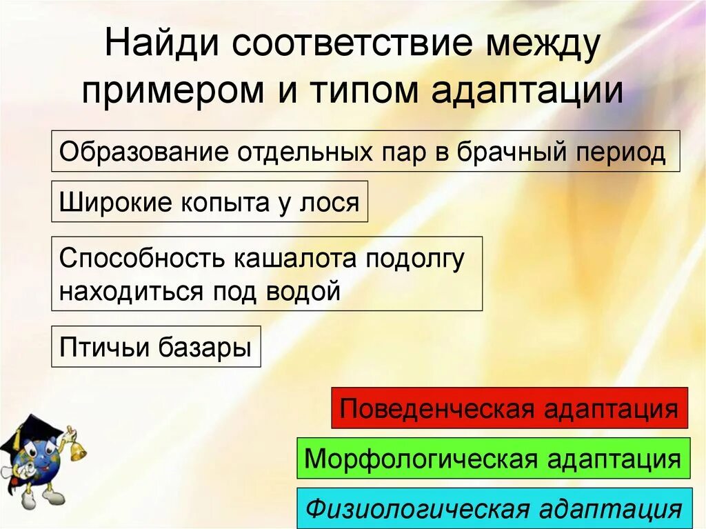 Установите соответствие между примерами и видами адаптаций. Образование отдельных пар в брачный период. морфологическая адаптация найди соответствие. установите соответствие между примерами и типами адаптаций.