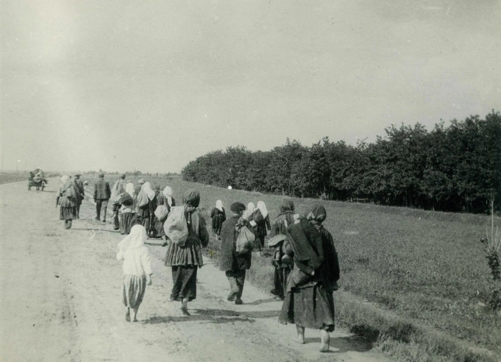 Неурожаи и массовый голод год. Голода 1932–1933 годов в Поволжье. Голодающие крестьяне 1932-1933.