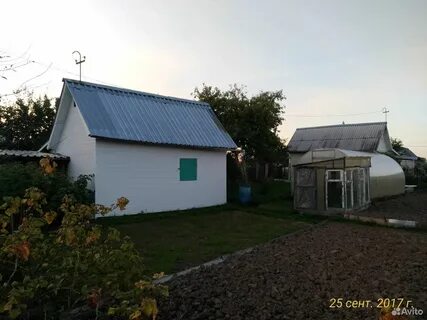 Вязьма панино
