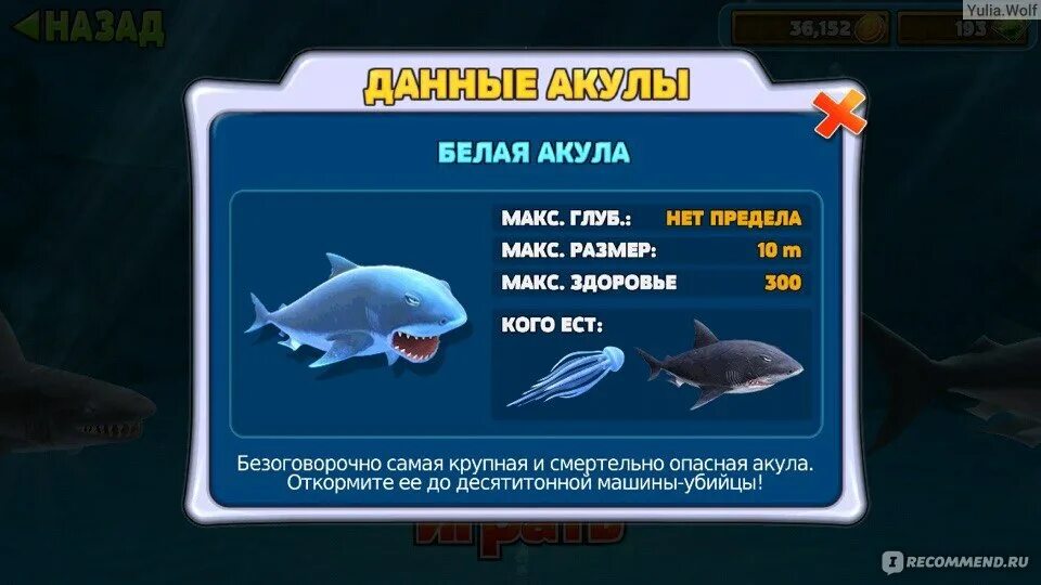 Как получить в2 шарк. Хангри шарк раскраска. great white shark evolution. hungry shark карта сундуков в тихом океане. white shark программа.