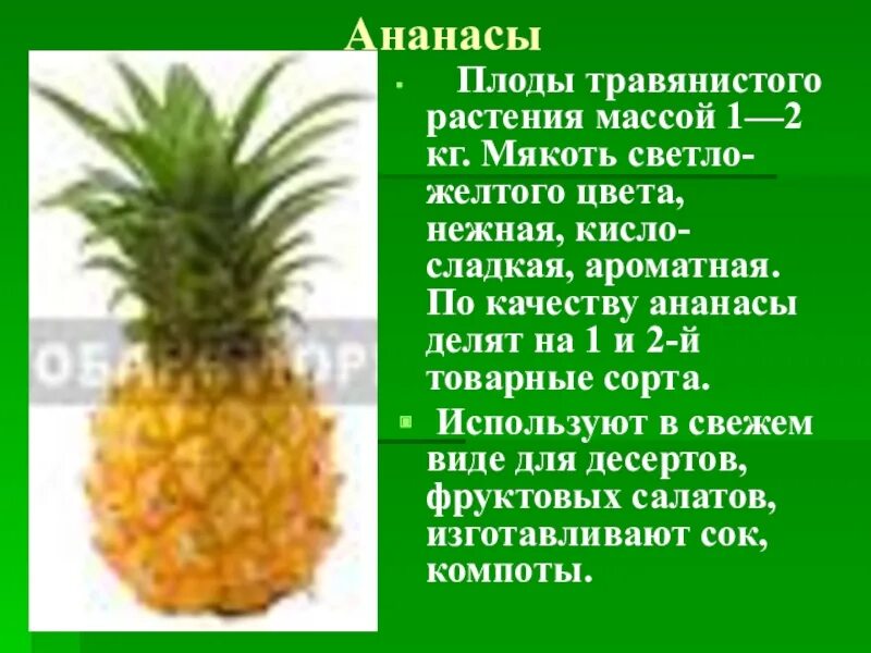 Ананас с какого возраста. Ананас вид плода. ананас классификация плода. ананас строение плода. плод ананаса биология.