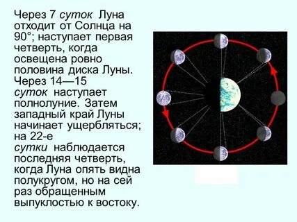 В какое время будет виден