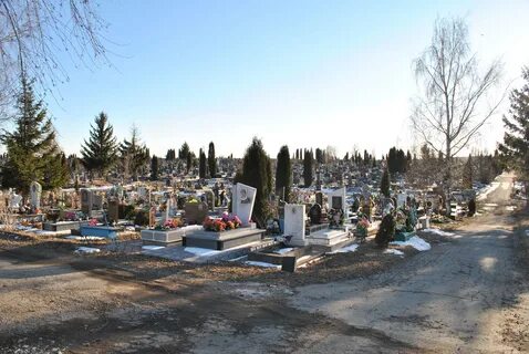 Городское кладбище фото