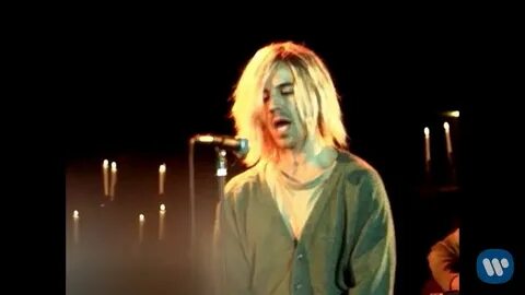 Red hot chili peppers dani