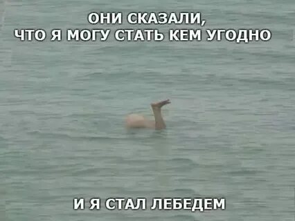 Человек может быть кем угодно
