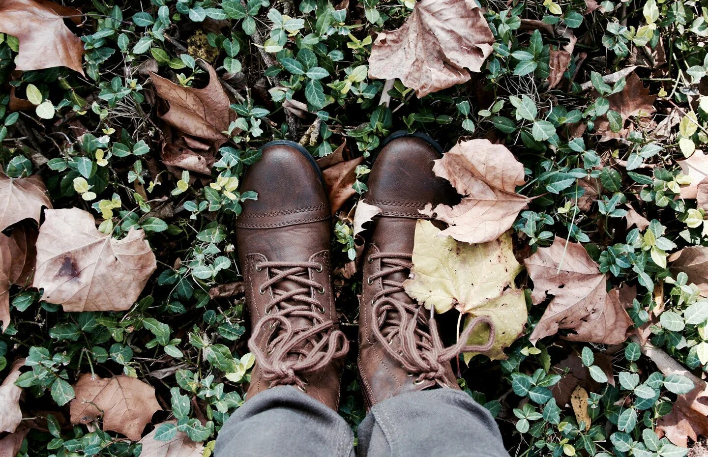 Черным сапогом с травы песня. Обувь осенью. Ботинки в траве осень. Люди в коричневых ботинках. Обувь на траве.