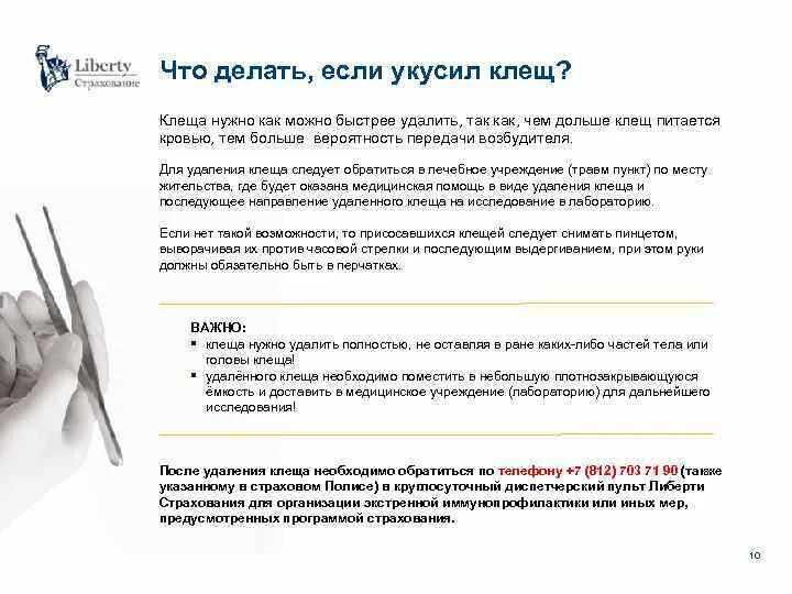 Что пить если укусил клещ. Какие таблетки пить если укусил клещ. какие лекарства пить после укуса клеща. какие таблетки пить при укусе клеща. какое лекарство надо пить после укуса клеща.