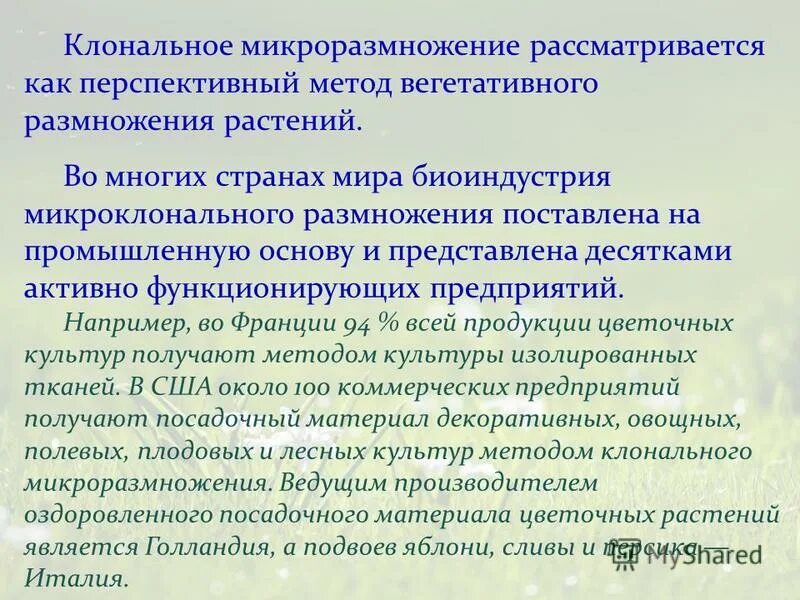 Этапы микроклонального размножения. Метод микроклонального размножения. Микроклональнольное размножение растений. Суть микроклонального размножения растений. Макронального размножения.