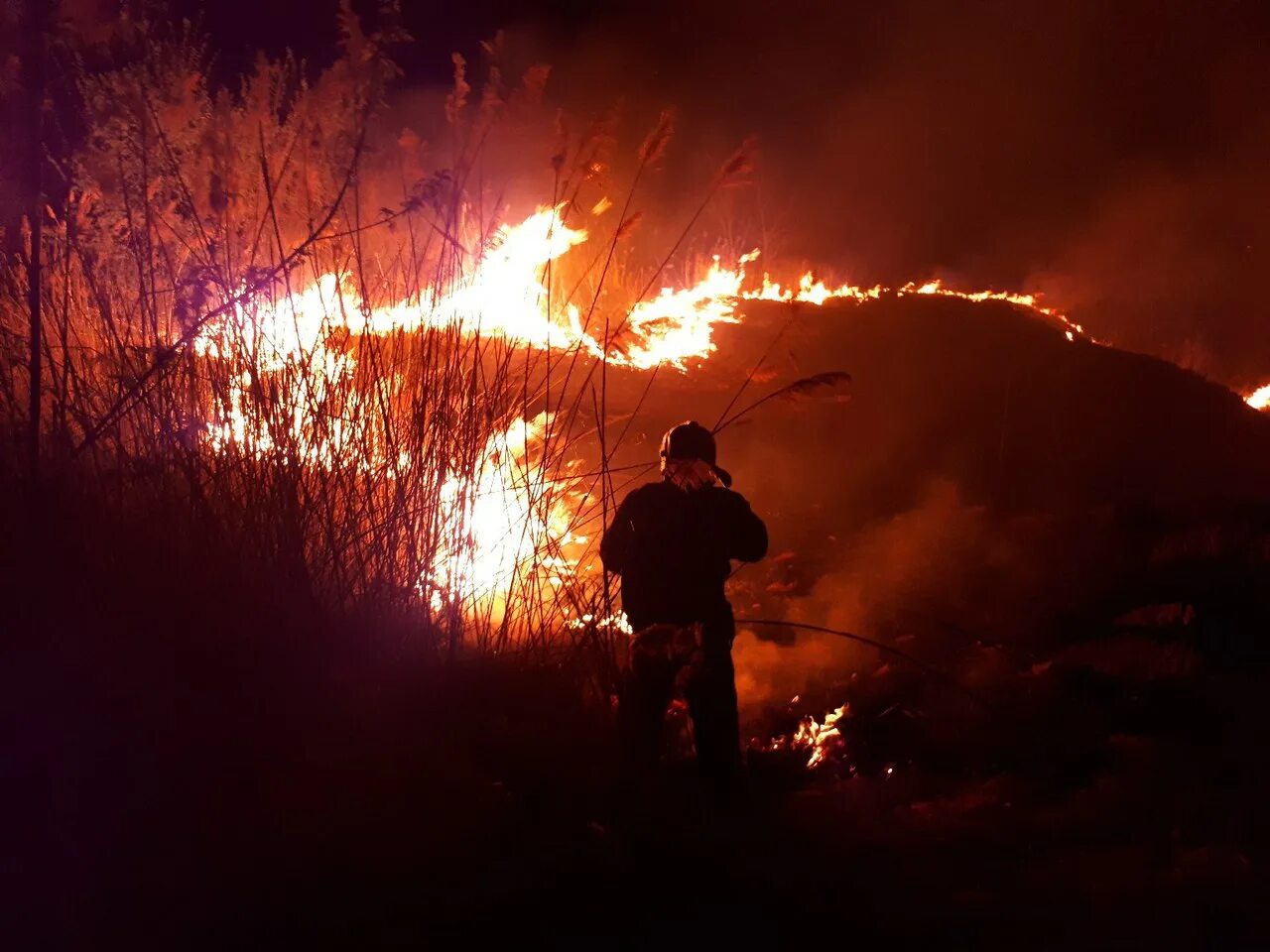 Горит место на фотосессию. Фото сгоревшей травы ночью. Трава горит Ульяновск. Красивые фото пожарных с огненными крыльями.