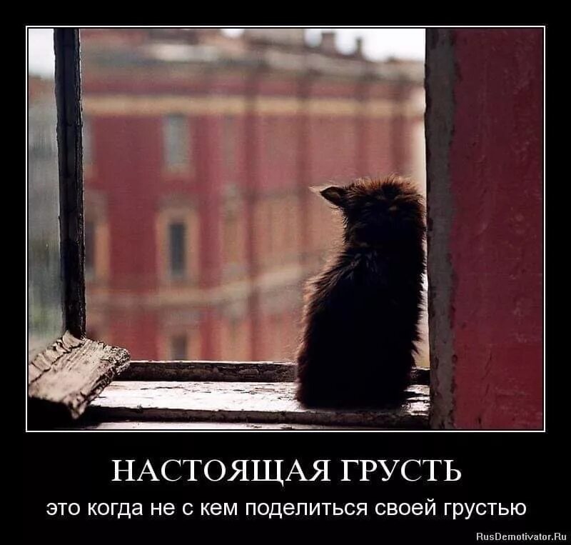 А мне уже не грустно. А мне уже не грустно