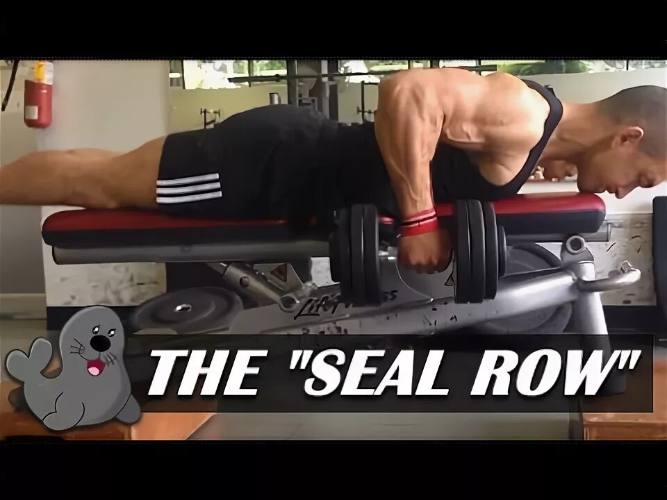 The back row. Seal row. ‘seal row упражнение. classic seal row bench. скамья eleiko classic seal row bench.