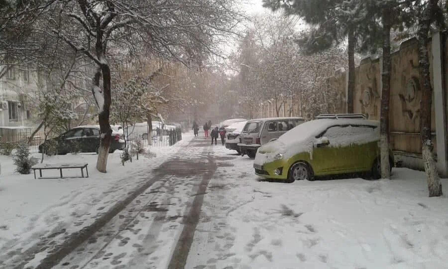 Ташкент январь. Снег в Узбекистане. Ташкент в январе. Зима в Ташкенте. Ташкент климат.