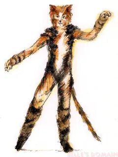 Главные герои кошки