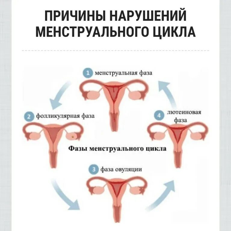 Жизнь после месячных