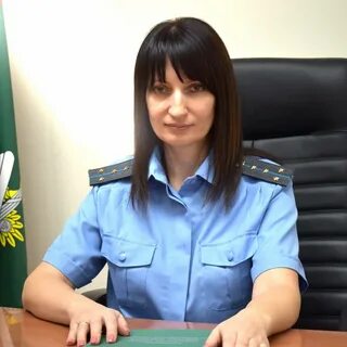 Пристав воронеж туполева