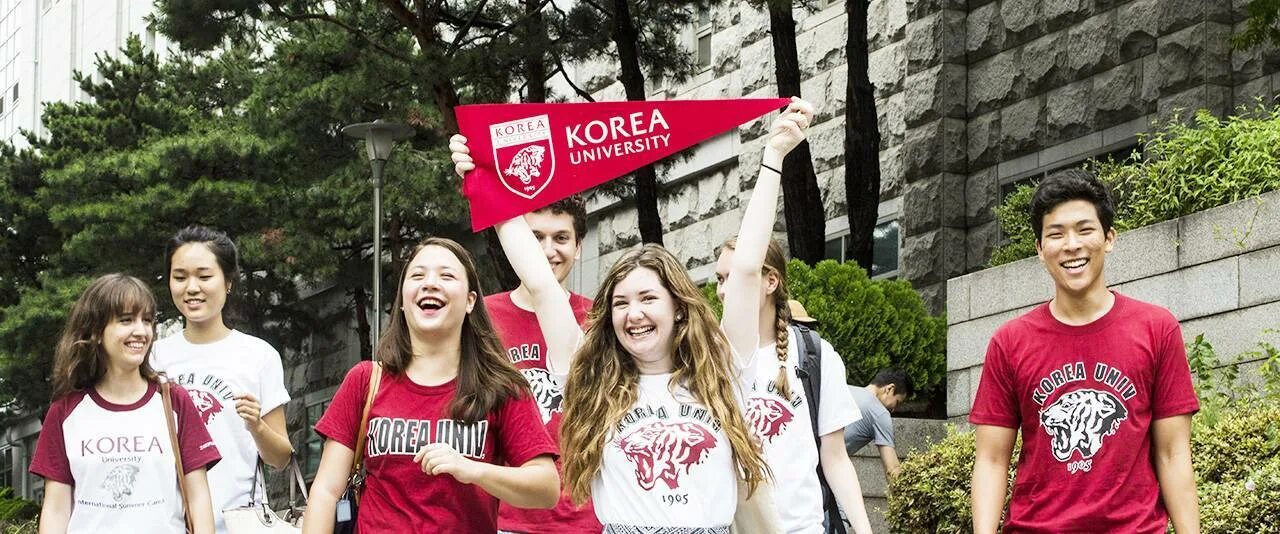 Корейский университет Korea University. Образование в Южной Корее университет. Южная Корея университеты для иностранцев. Южная Корея студенты университеты. Обучение в корее для русских