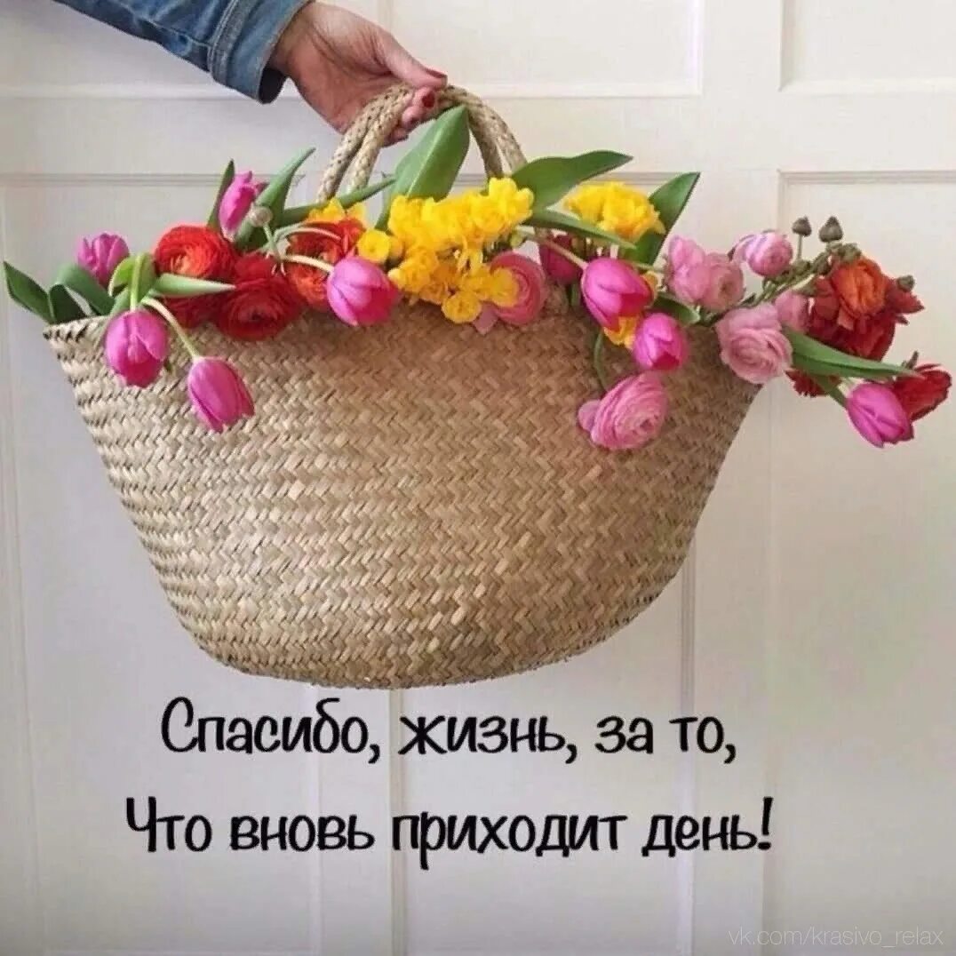 Спасибо жизнь за радость. Доброе утро жизнь. позитивные открытки на каждый день. доброе утро жизнь продолжается. позитивные пожелания на день.